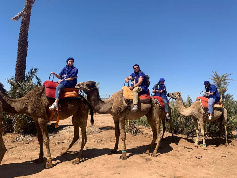 Marrakech: Guided Quad Bike and Camel Ride Tour with Tea - Quad Bikes Near Marrakech: Fast Access, Big Payoff