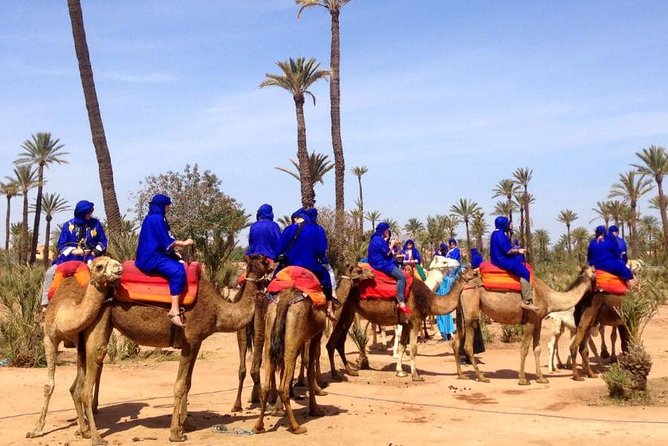 Marrakech: Half-Day Camel Ride in Palm Grove - Palm Grove Camel Riding in Marrakech: Why the Palmeraie feels different