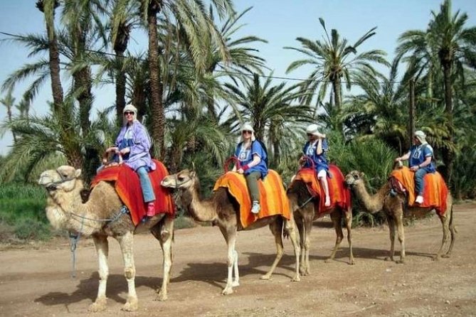 Marrakech: Half-Day Camel Ride in Palm Grove - Dressing for the ride: jilbab, Saharan scarf, and the protective veil