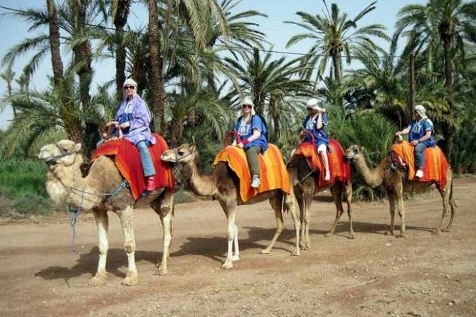 Marrakech: Half-Day Camel Ride in Palm Grove - The 1-hour camel trek through 100,000+ palms