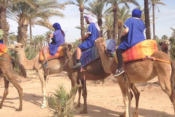 Marrakech: Half-Day Camel Ride in Palm Grove - Photos, music, and the tea stop: the human part of the tour