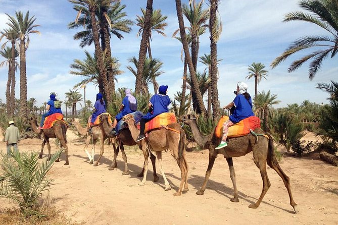 Marrakech: Half-Day Camel Ride in Palm Grove - Hotel pickup and the van ride: easy logistics, small comfort caveats