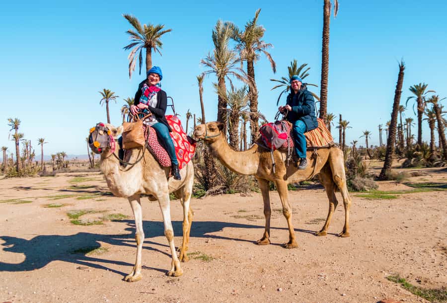 Marrakech: Half-Day Desert Quad Tour with Camel Ride - Pickup, equipment, and the briefing that sets the tone