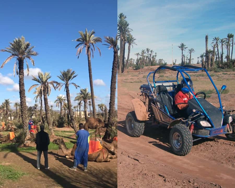 Marrakech: Half-day Dunes Trip With Buggy and Camel Ride - Key things I’d plan around before you go