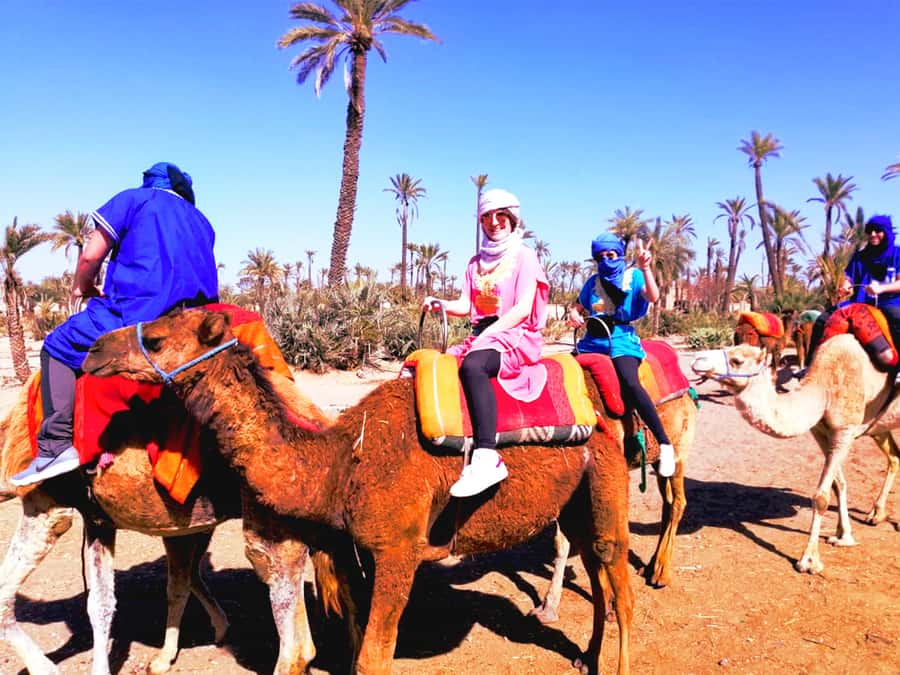 Marrakech: Half-day Dunes Trip With Buggy and Camel Ride - From hotel pickup to desert departure in an air-conditioned van