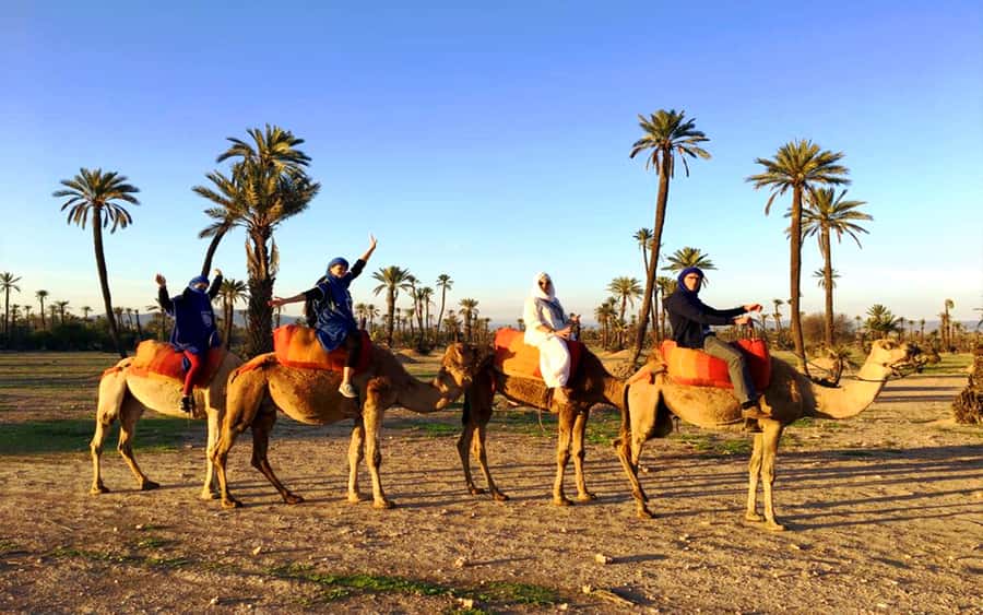 Marrakech: Half-day Dunes Trip With Buggy and Camel Ride - Dune buggy ride: safety talk, shared buggy, and how to set expectations