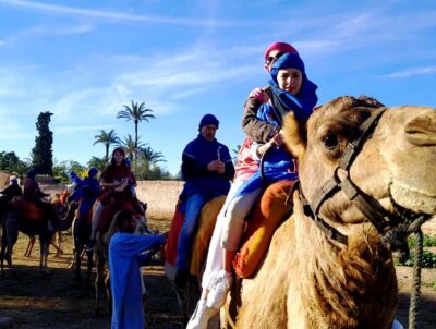 Half-day Dunes Trip With Buggy and Camel Ride