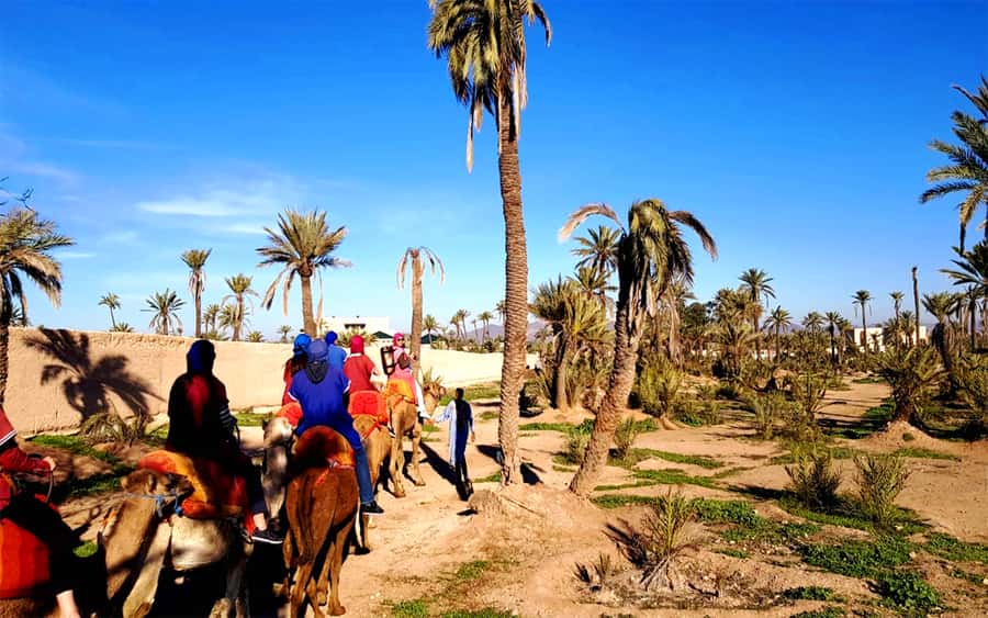 Marrakech: Half-day Dunes Trip With Buggy and Camel Ride - Camel ride through the desert, traditional clothing, and the slower rhythm
