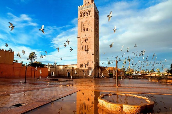 Marrakech: Half-Day Historical and Cultural Tour. - Price and value: what $30.19 buys you, and what it does not