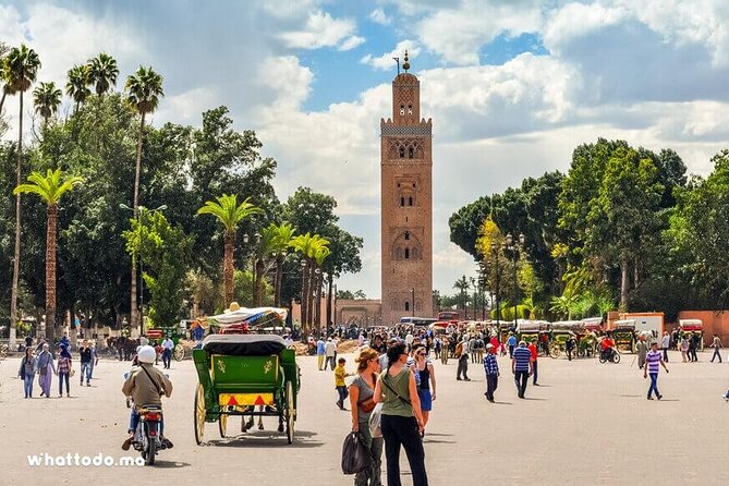 Marrakech: Half-Day Historical and Cultural Tour. - Jemaa el-Fna in 10 minutes: what to do with the short stop