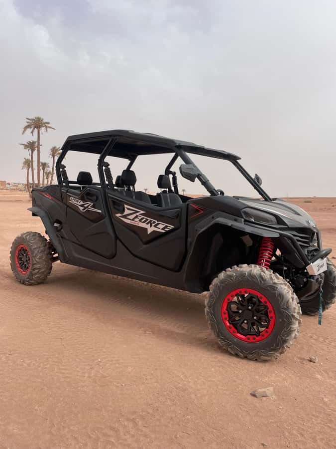 Marrakech: Half-day private tour in a 1000cc buggy in the Agafay Desert - Should you book this Agafay 1000cc buggy half-day?