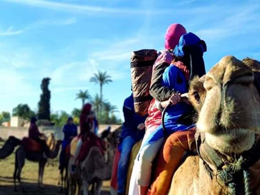 Marrakech: Half-Day Tour with Buggy Ride, Camel Ride and Spa - Key Things You’ll Notice on This Marrakech Buggy, Camel, and Hammam Tour
