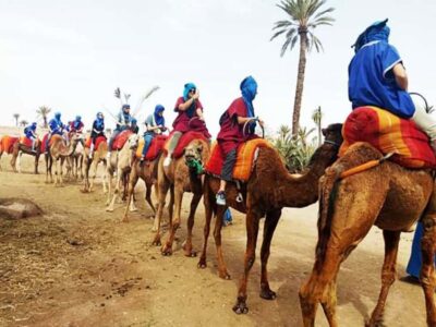 Half-Day Tour with Buggy Ride, Camel Ride and Spa