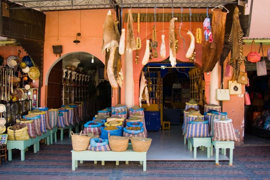 Marrakech: Historical Discovery Tour - Who this tour is best for