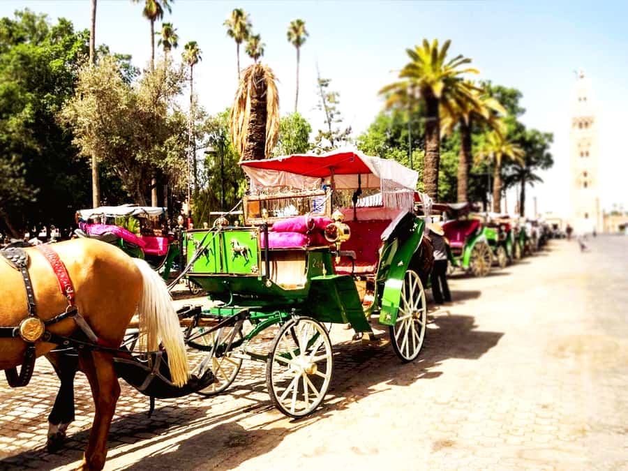 Marrakech: Horse-Drawn Carriage Tour - Key Highlights You Should Actually Care About