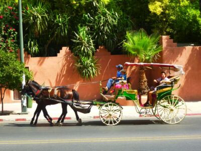 Horse-Drawn Carriage Tour