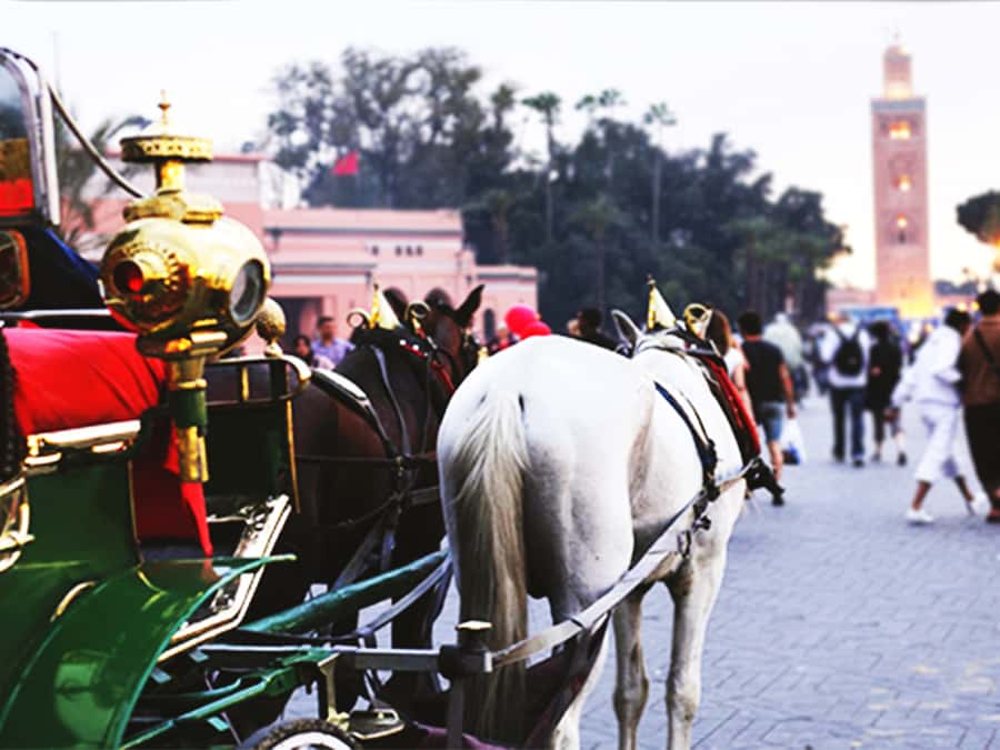 Marrakech: Horse-Drawn Carriage Tour - Hivernage Luxury Hotels and the Koutoubia Sunset Moment