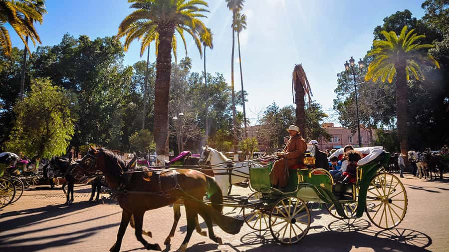 Marrakech: Horse-Drawn Carriage Tour - Who This Tour Suits Best (And Who Might Prefer Something Else)
