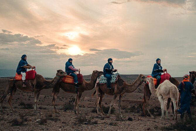Marrakech: Hot Air Balloon at Sunrise - Key highlights I’d plan around