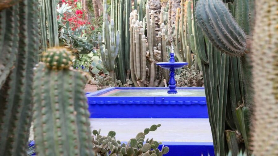 Marrakech: Majorelle Garden Entry Tickets Online - Majorelle Gardens in Marrakech: What You’re Really Paying For