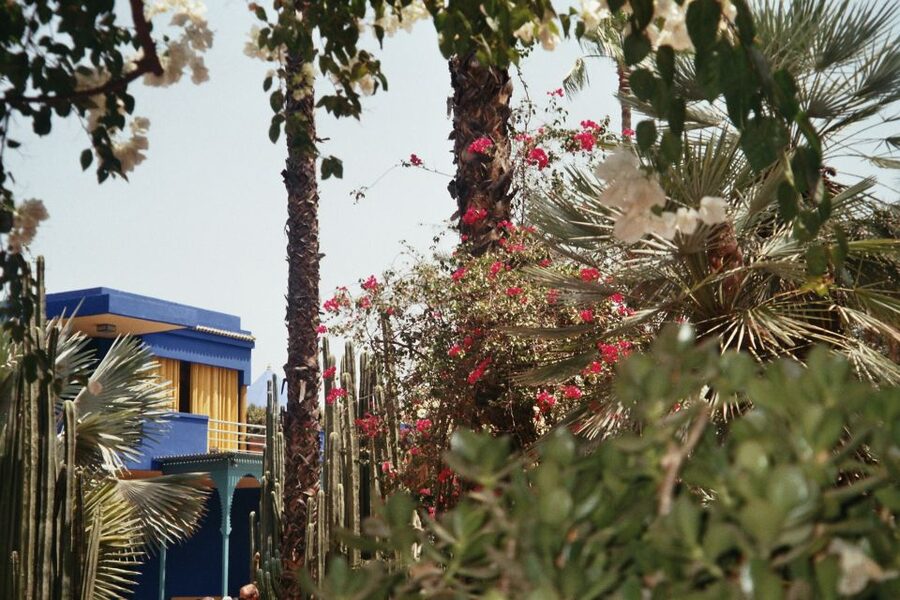 Marrakech: Majorelle Garden Entry Tickets Online - The Garden Layout: Why the Paths Feel So Effortless