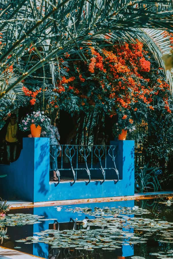 Marrakech: Majorelle Garden, Museums Tickets, & Audio Guide - YSL Museum: fashion in a garden setting, plus the seasonal closure note