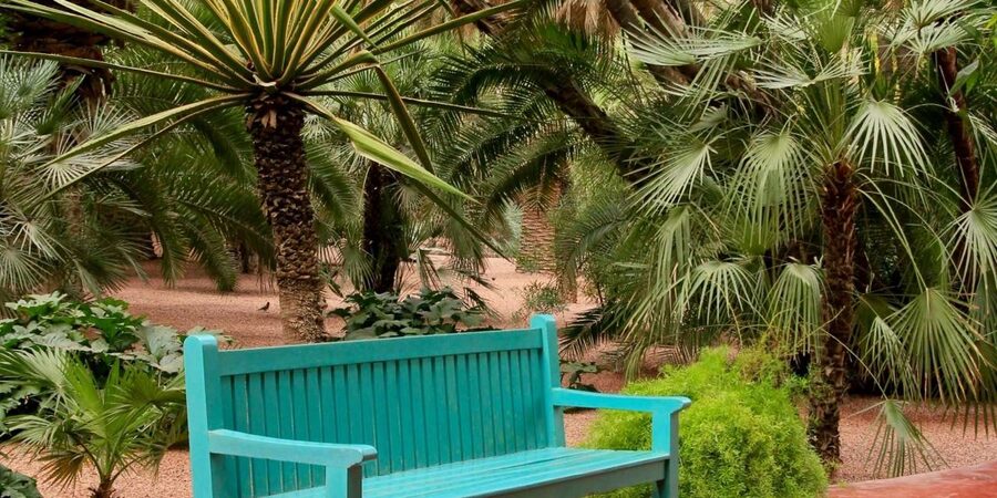 Marrakech: Majorelle Garden, YSL, and Berber Museum Entry - Timing Your Visits: Start at Majorelle, then follow the flow