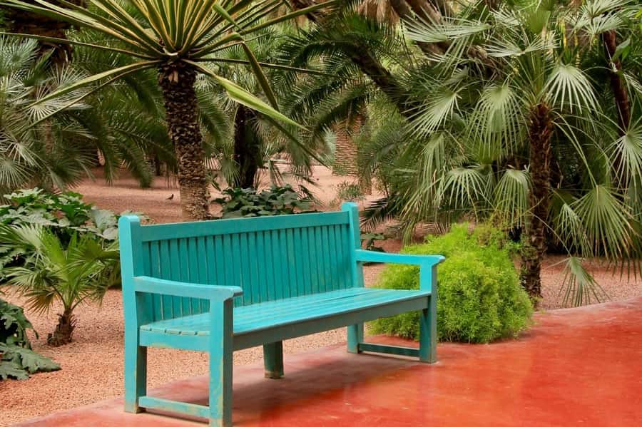Marrakech: Majorelle Garden, YSL, and Berber Museum Entry - Who This Fits Best in Your Marrakech Plan