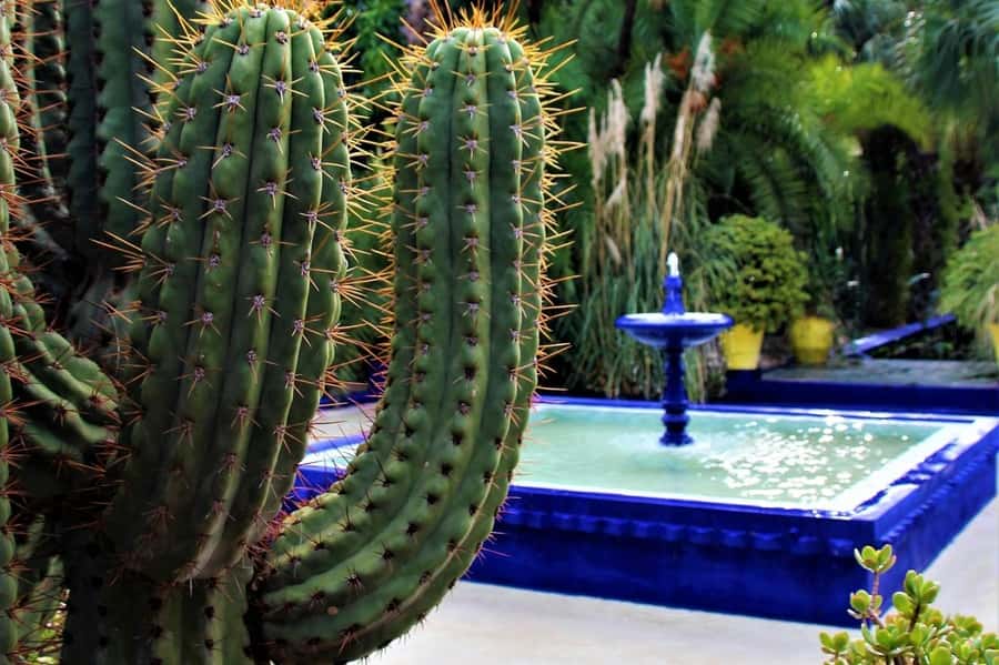 Marrakech: Majorelle Garden, YSL, and Berber Museum Entry - Yves Saint Laurent Museum: Fashion, but with strong Marrakech context