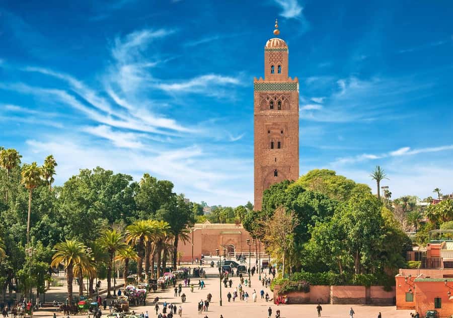 Marrakech: Majorelle & Menara Garden Tour and Carriage Ride - Who should book this tour, and who should skip it