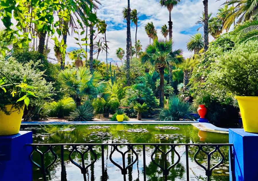 Marrakech: Majorelle & Menara Garden Tour and Carriage Ride - Why this Marrakech garden plus carriage combo makes sense