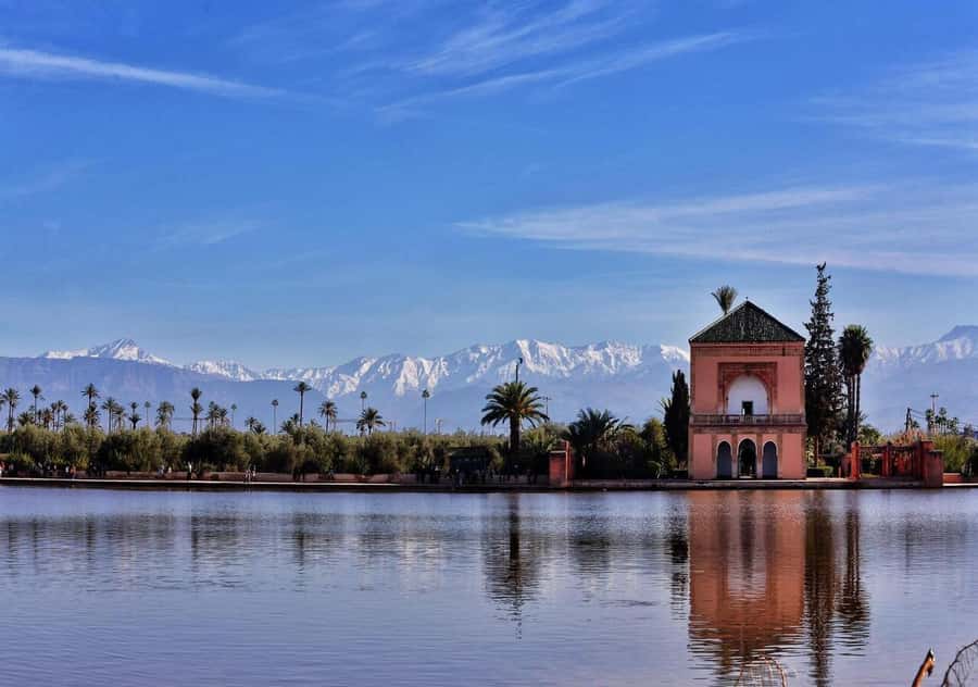 Marrakech: Majorelle & Menara Garden Tour and Carriage Ride - What to watch for as you wander the plants