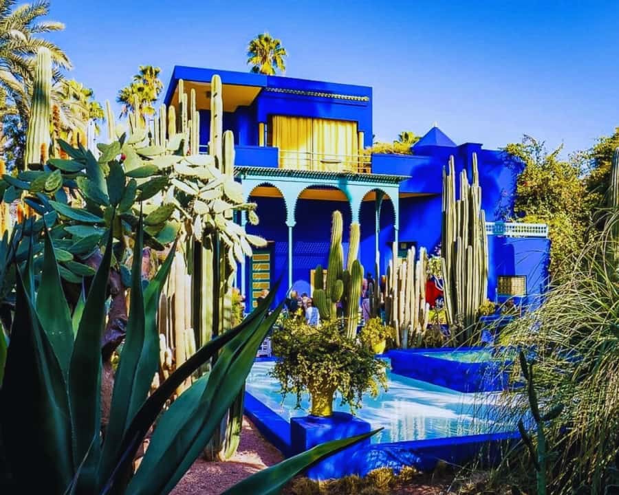 Marrakech: Majorelle & Menara Garden Tour and Carriage Ride - Majorelle Garden: cobalt blue art you can walk into