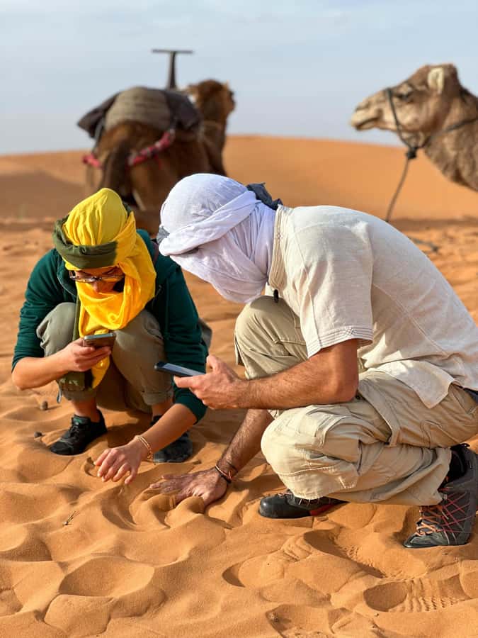 Marrakech/Ouarzazate: 2-Day Desert with Camel, 4x4 & Meals - Draa Valley Stops Feel Like Real Morocco, Not Just a Drive-Through