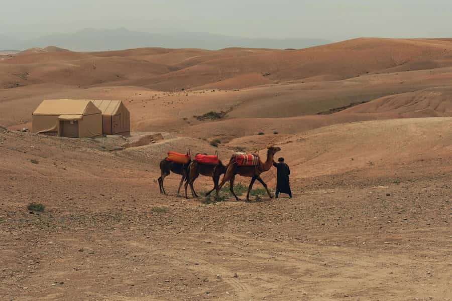 Marrakech/Ouarzazate: 2-Day Desert with Camel, 4x4 & Meals - Camel Ride at Sunset: Why This Part Works So Well