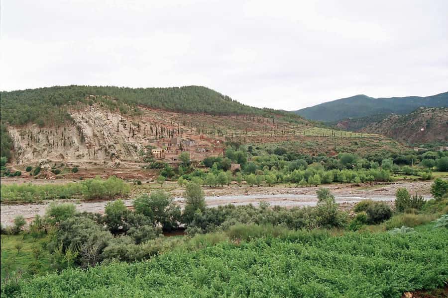 Marrakech: Ourika Valley and Atlas Mountains Day Trip - Setti Fatma Waterfalls Trek: What That 1-Hour Walk Feels Like