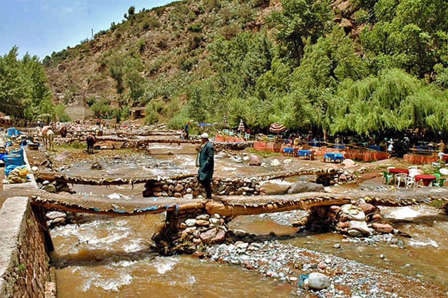 Marrakech: Ourika Valley and Atlas Mountains Day Trip - Lunch Break by the River: Tagine, Setting, and the Lunch Reality