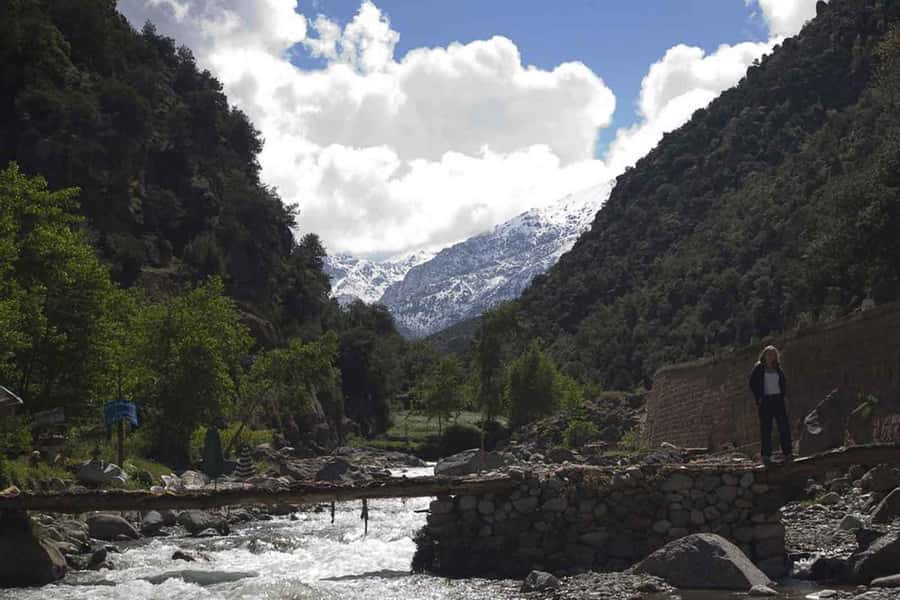 Marrakech: Ourika Valley and Atlas Mountains Day Trip - Argan Oil and Product Demonstrations: Worth Watching, Optional Buying