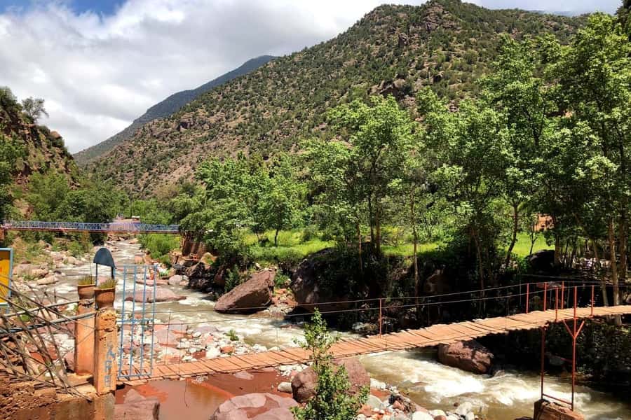 Marrakech: Ourika Valley and Atlas Mountains Day Trip - Price and Value: Is $7 a Smart Deal?