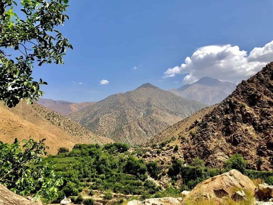 Marrakech: Ourika Valley & Atlas Mountains Half-Day Trip - The optional 30-minute mountain walk and how to plan for it