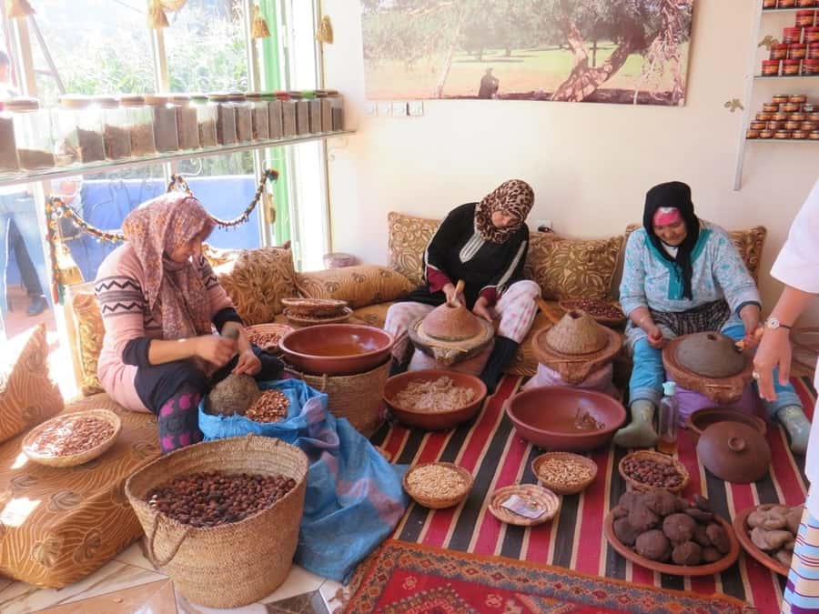 Marrakech: Ourika Valley & Atlas Mountains Half-Day Trip - Timing and the payoff: why you get back early enough to enjoy Marrakech