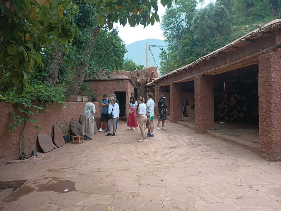 Marrakech Ourika Valley, Atlas Mountains, Waterfall + Lunch - Atlas Mountains time: scenery breaks plus guided context