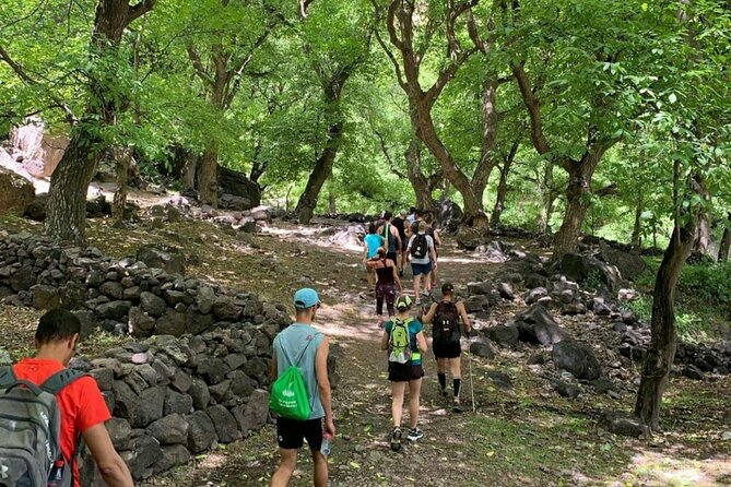 Marrakech: Ourika Valley, Atlas Mountains, Waterfalls & Lunch - What $19.38 covers, and what you should budget for