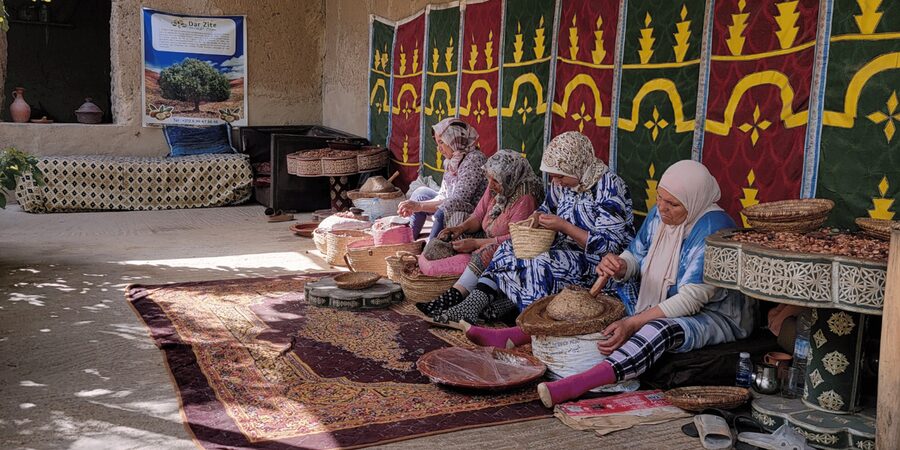 Marrakech: Ourika Valley, Atlas Mountains & Waterfalls Tour - Who This Tour Fits Best (And Who Should Skip It)