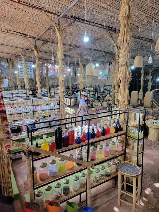 Marrakech: Ourika Valley, Atlas Mountains & Waterfalls Tour - Argan Oil Cooperative: Learning How Value Gets Created