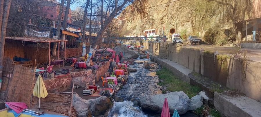 Marrakech: ourika valley Atlas Mountains & Waterfalls Trip - Argan oil cooperative stop, and how to shop without stress
