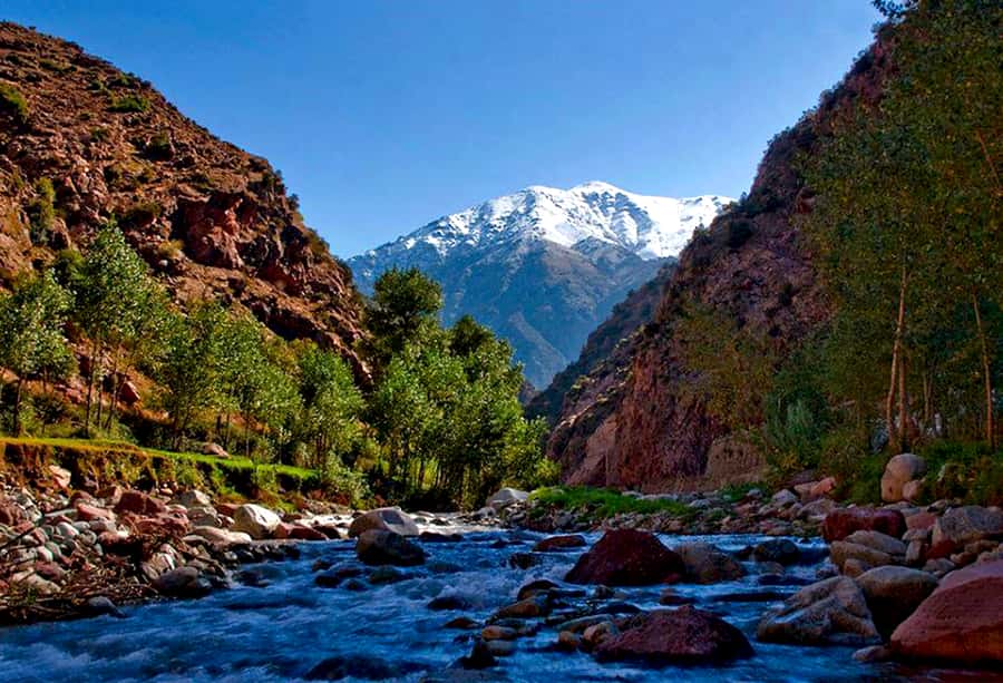 Marrakech: ourika valley Atlas Mountains & Waterfalls Trip - Hotel pickup and the mini-van reality check