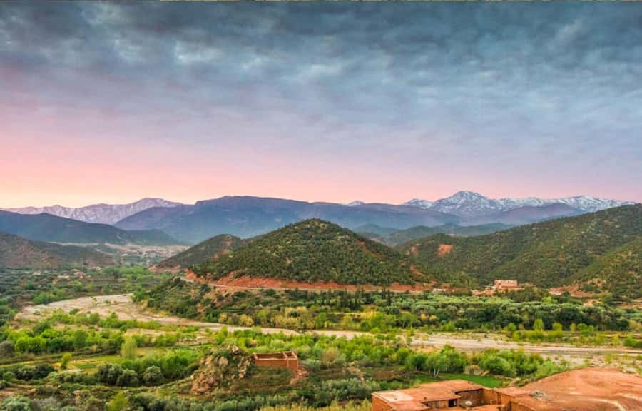Marrakech: Ourika Valley Day Trip & Waterfalls Hike - A 60 km Atlas escape from Marrakech, with real mountain scenery