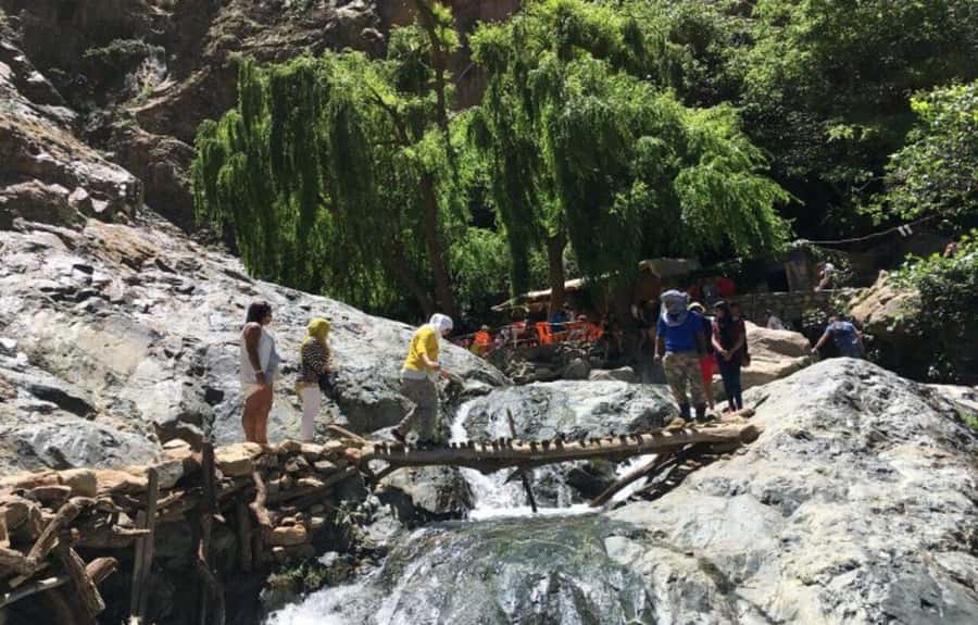 Marrakech: Ourika Valley Day Trip & Waterfalls Hike - Common snags to plan around (language, pickup, and comfort)