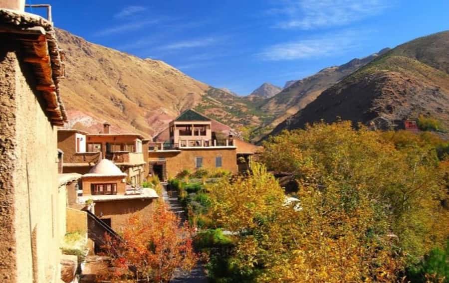 Marrakech: Ourika Valley Day Trip & Waterfalls Hike & Lunch - Argan oil cooperatives: the craft you came for, and the shopping reality